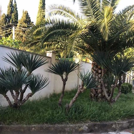 Guest House Dali Gagra Exterior photo