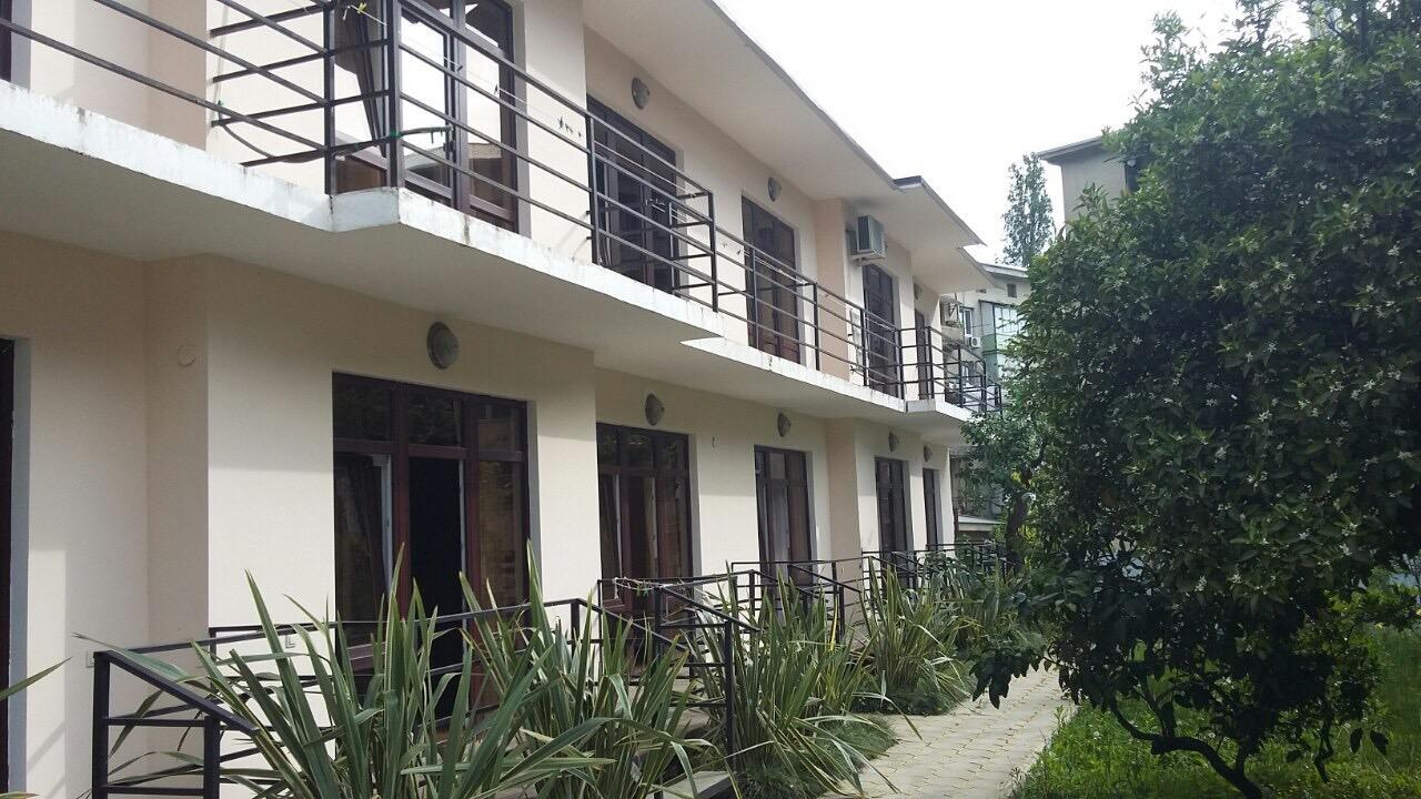 Guest House Dali Gagra Exterior photo