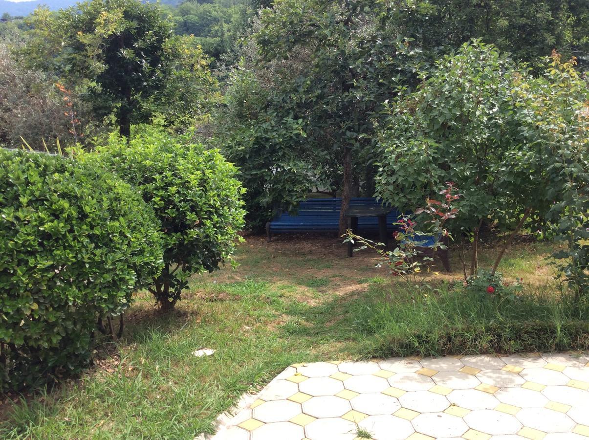 Guest House Dali Gagra Exterior photo