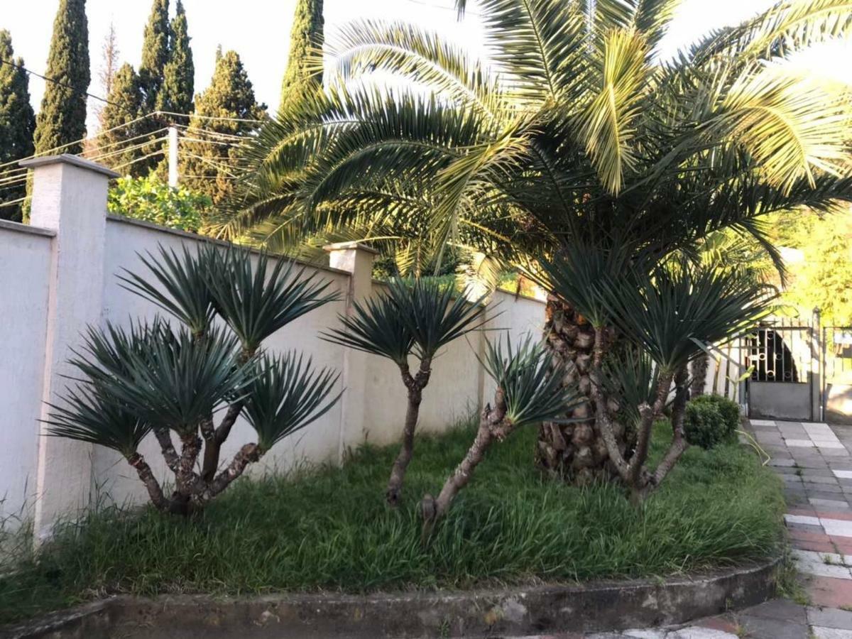 Guest House Dali Gagra Exterior photo