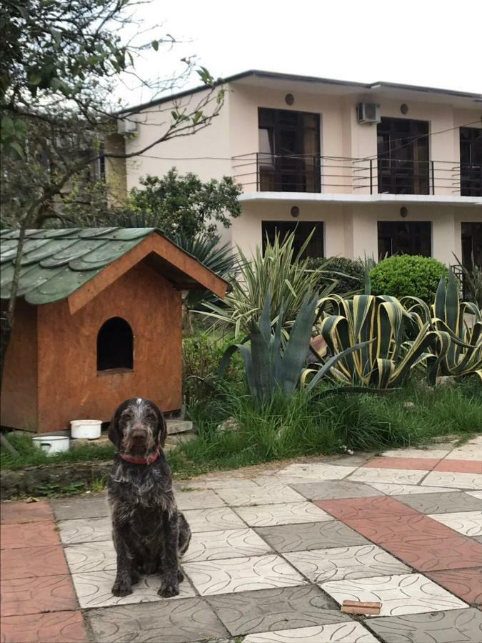 Guest House Dali Gagra Exterior photo